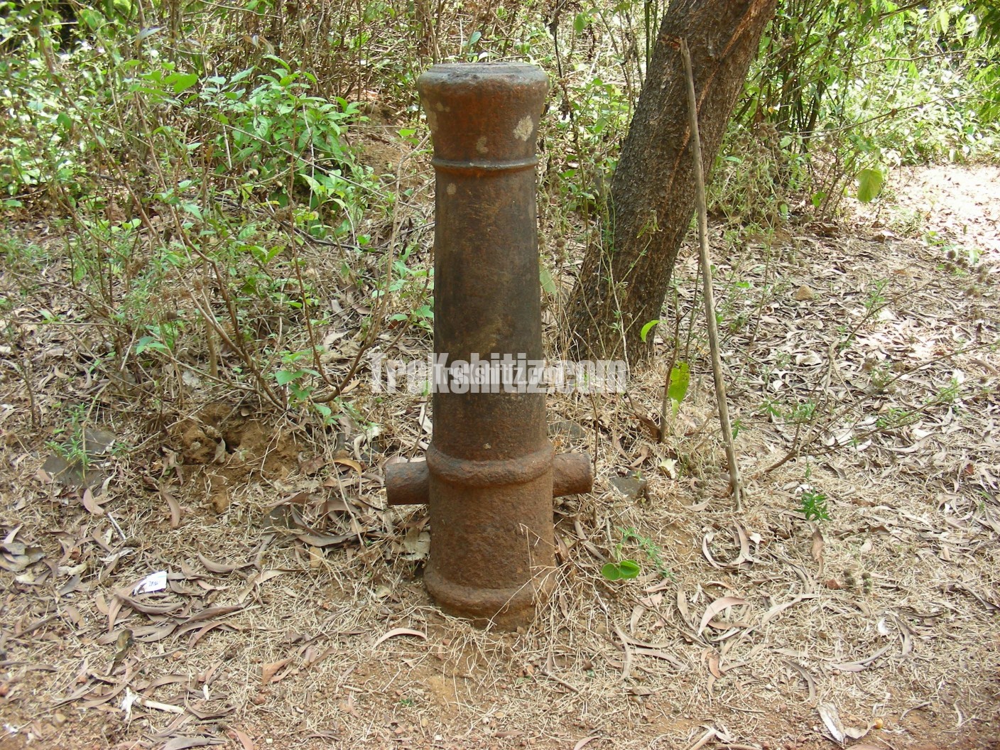 Cannon in base village Fukeri Hanumantgad
