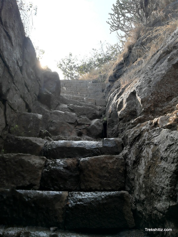 Kavnai carved steps