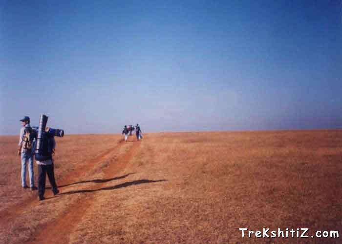 Masai Plateau
