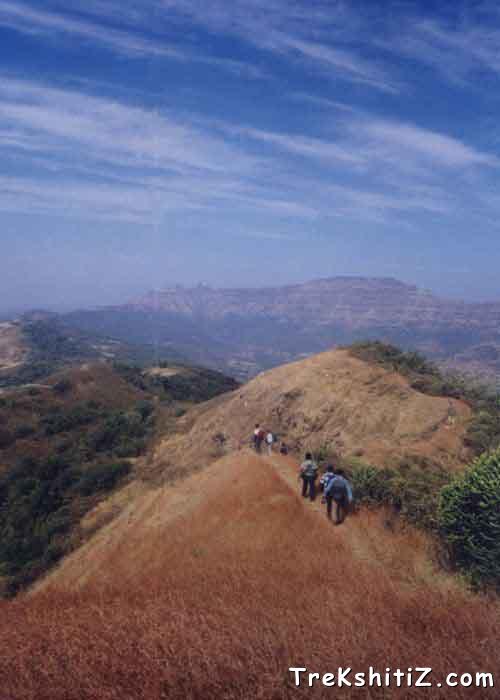 on the way from Rajgad to Torna