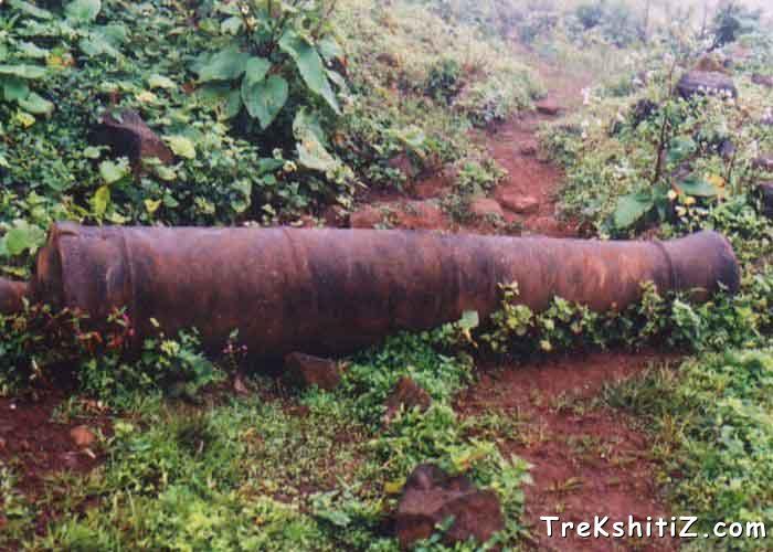 Cannon On the Visapur